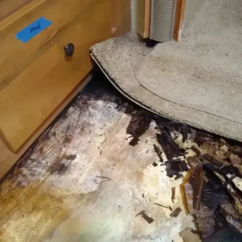 Wood Floor Water Damage in Painesville, OH